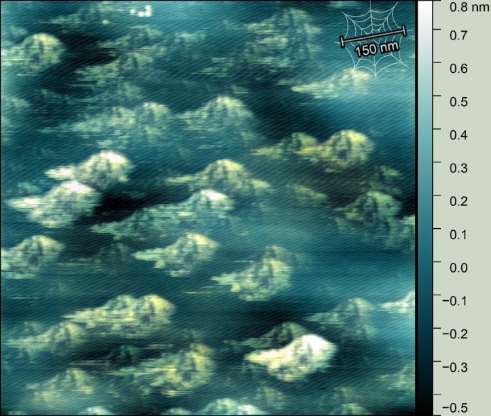 NanoGhosts
