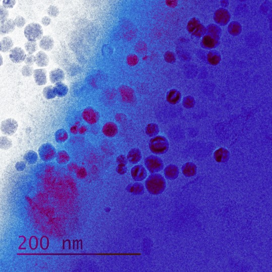 Magnetic Jellyfish