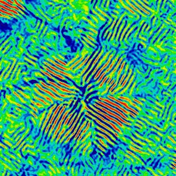 Cycloidal Nanopetals